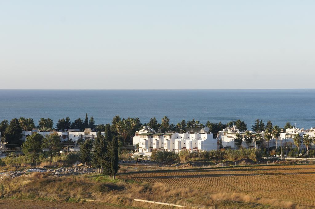 Sea View Studio In Orion Garden Apartamento Avsallar Quarto foto